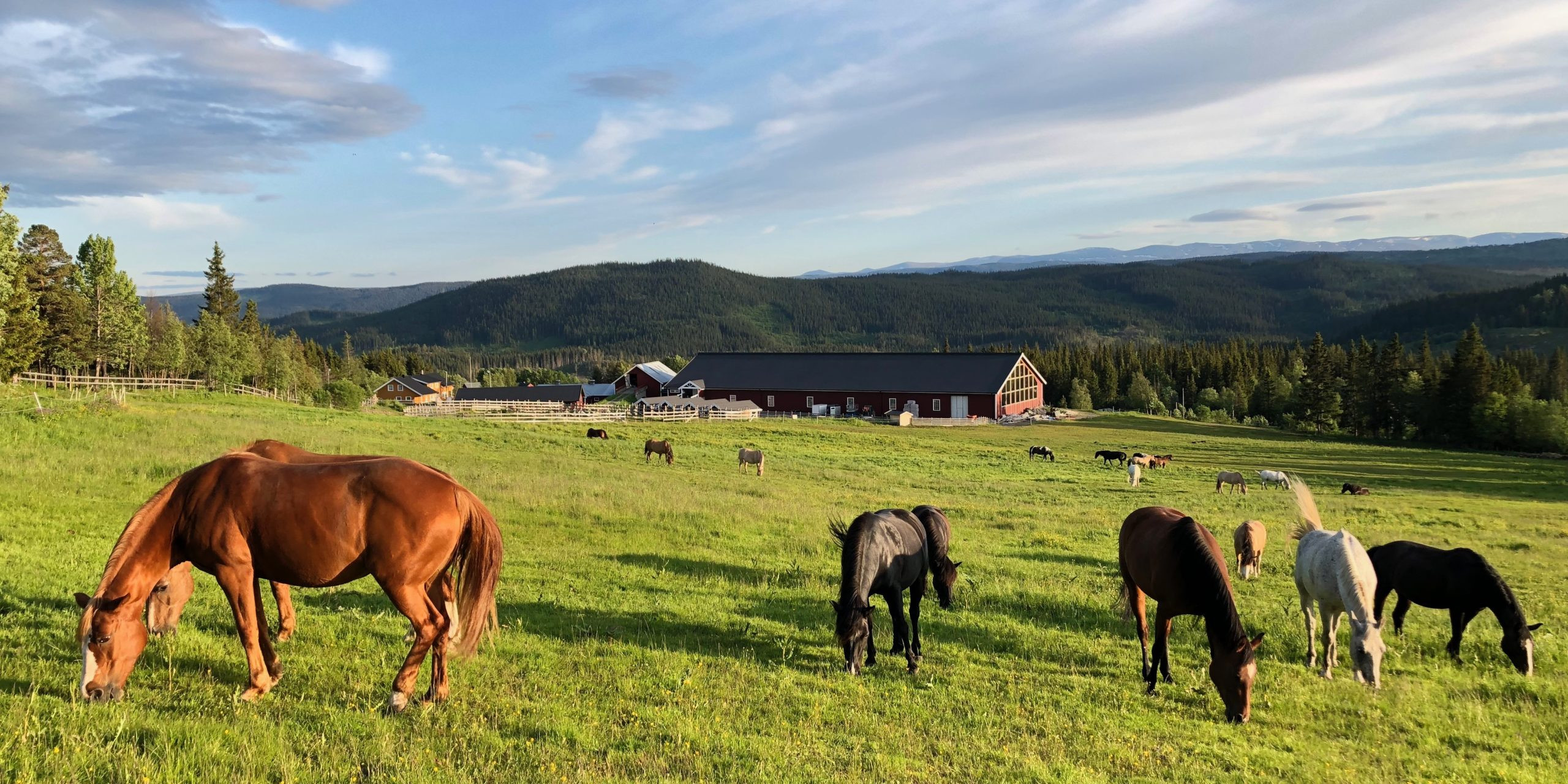 Myhre Gård på Beitostølen