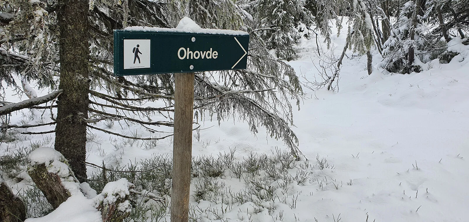 Ohovde (937 moh)
