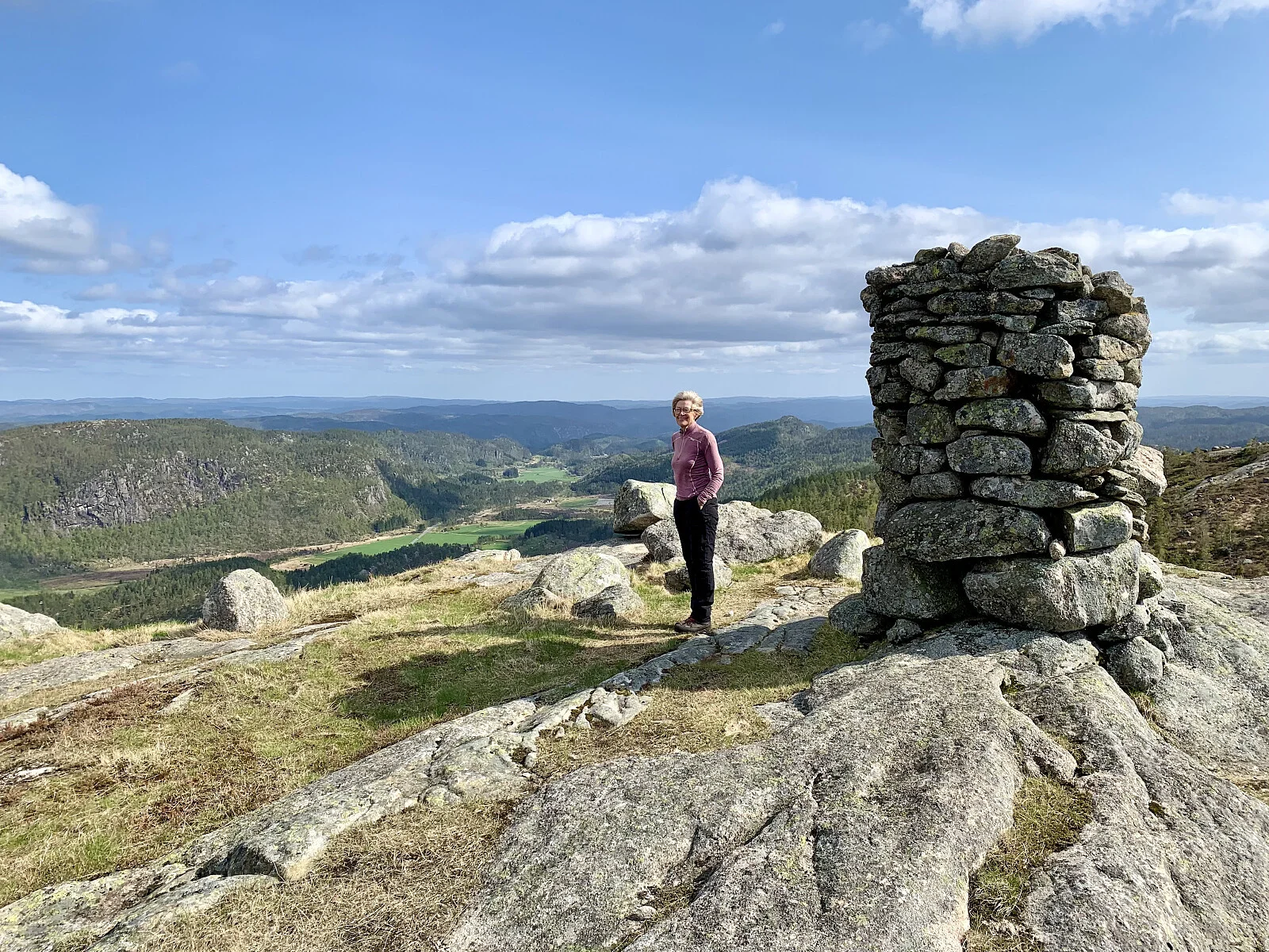 Gråhei (598 moh)