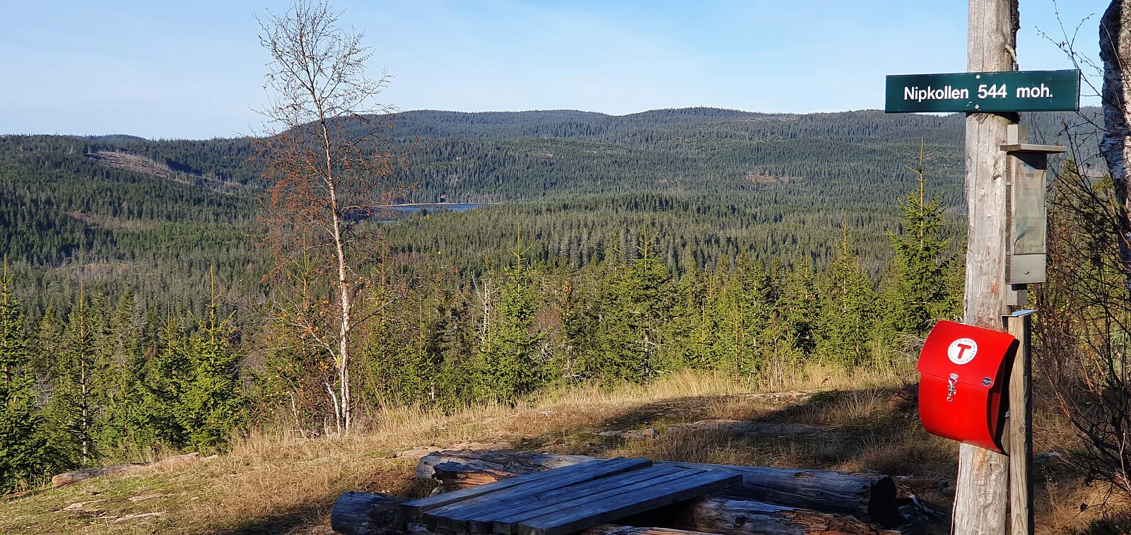 Nipkollen (542 moh)