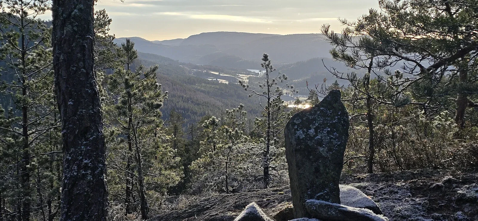 Øygardsfjellet (349 moh)