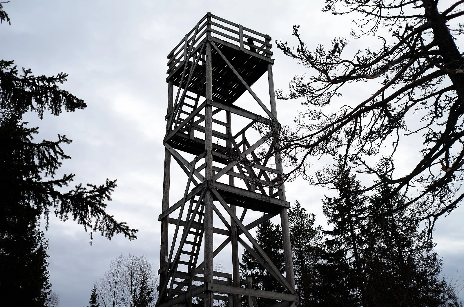 Vardehøgda (360 moh)