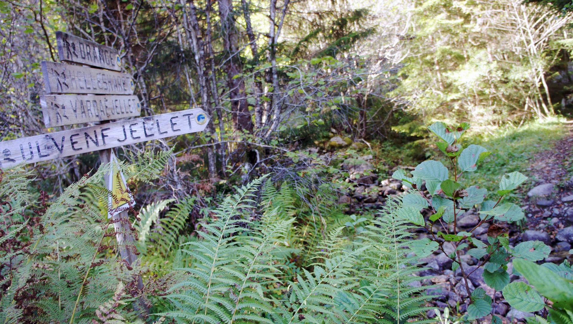 Ulvenfjellet (316 moh) i Os