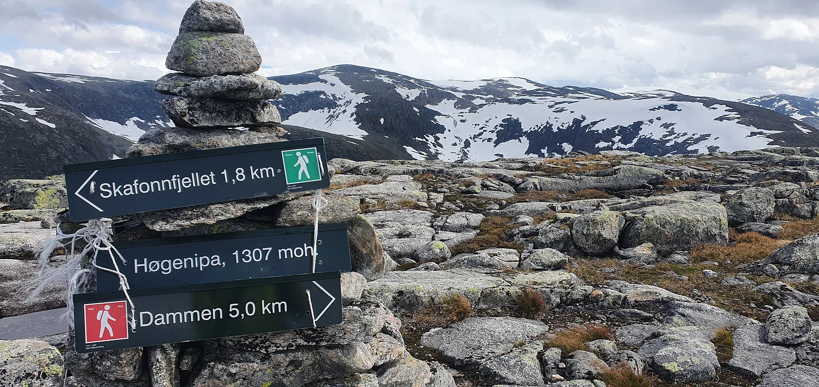 Høgenipa (1307 moh)