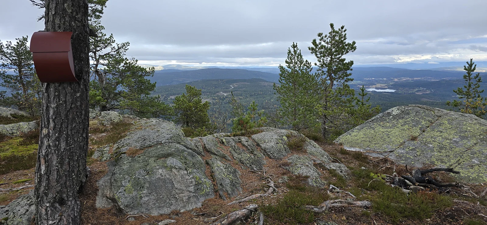 Høgnipa (660 moh)