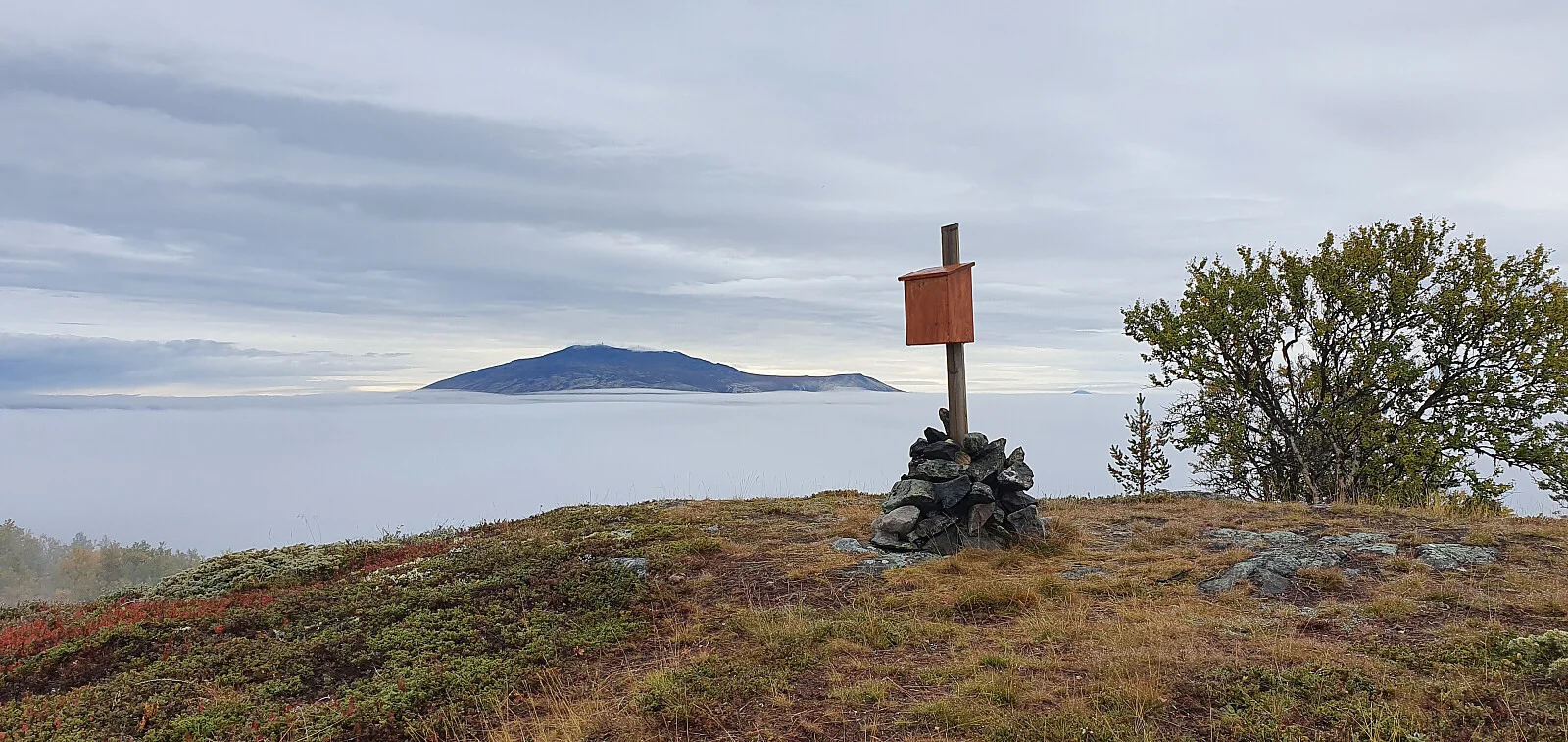 Høgåsen (991 moh)