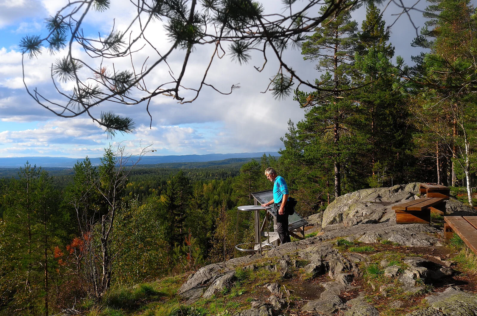 Tømmerås (313 moh)