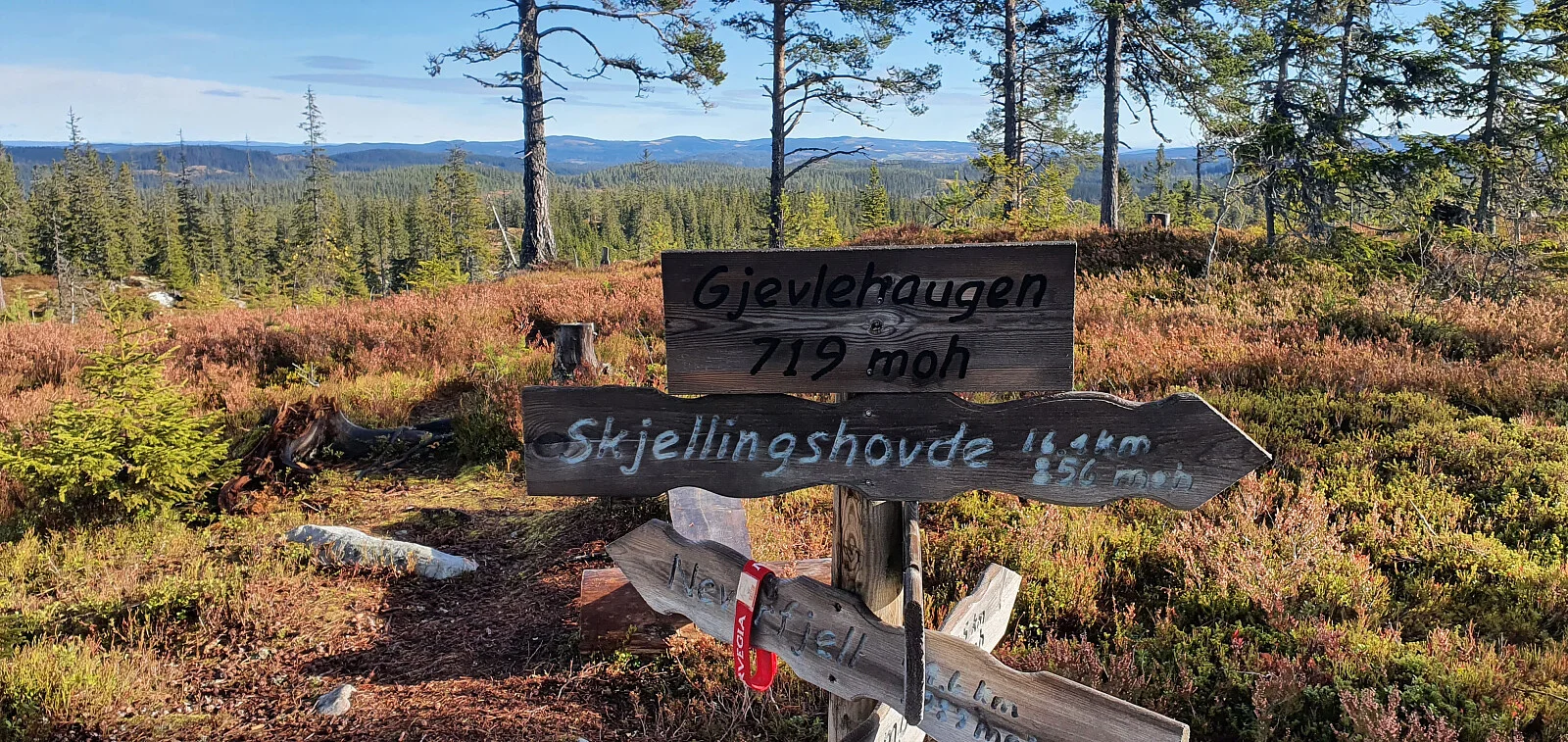 Gjevlehaugen (719 moh)