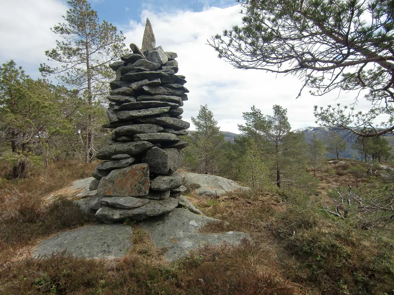 Steinen (439 moh)