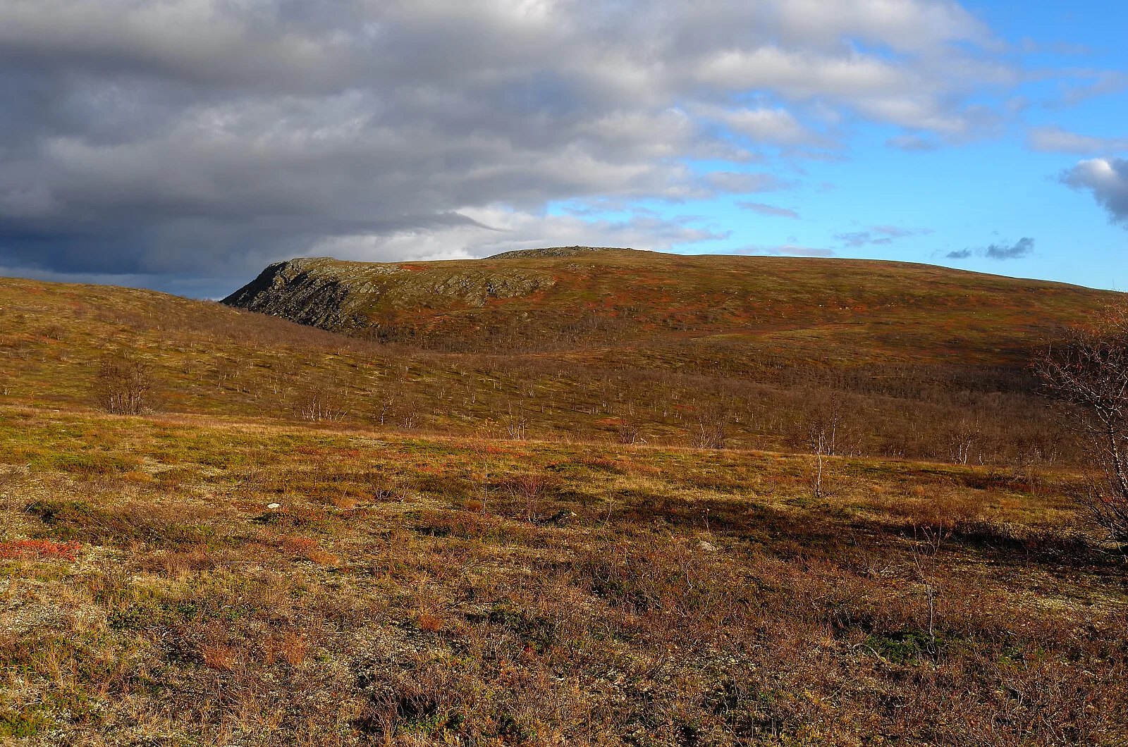 Muvravárri (585 moh)